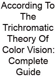According To The Trichromatic Theory Of Color Vision: Complete Guide