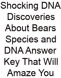 Shocking DNA Discoveries About Bears Species And DNA Answer Key That Will Amaze You