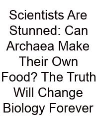 Scientists Are Stunned: Can Archaea Make Their Own Food? The Truth Will Change Biology Forever