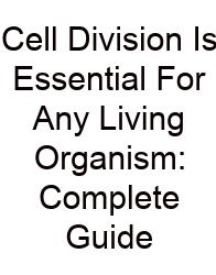 Cell Division Is Essential For Any Living Organism: Complete Guide