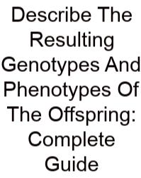 Describe The Resulting Genotypes And Phenotypes Of The Offspring: Complete Guide