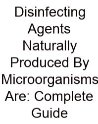 Disinfecting Agents Naturally Produced By Microorganisms Are: Complete Guide