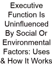 Executive Function Is Uninfluenced By Social Or Environmental Factors: Uses & How It Works
