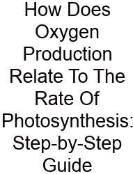 How Does Oxygen Production Relate To The Rate Of Photosynthesis: Step-by-Step Guide
