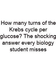 How Many Turns Of The Krebs Cycle Per Glucose? The Shocking Answer Every Biology Student Misses
