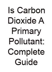 Is Carbon Dioxide A Primary Pollutant: Complete Guide