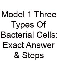Model 1 Three Types Of Bacterial Cells: Exact Answer & Steps