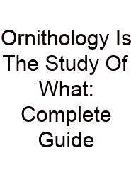Ornithology Is The Study Of What: Complete Guide