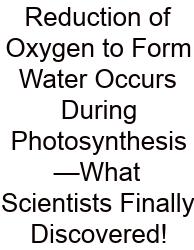 Reduction Of Oxygen To Form Water Occurs During Photosynthesis—What Scientists Finally Discovered!