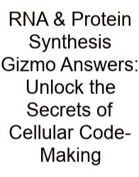 RNA & Protein Synthesis Gizmo Answers: Unlock The Secrets Of Cellular Code-Making