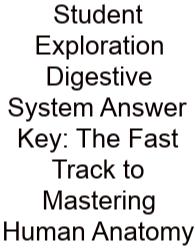 Student Exploration Digestive System Answer Key: The Fast Track To Mastering Human Anatomy