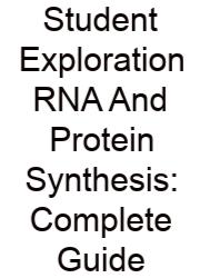 Student Exploration RNA And Protein Synthesis: Complete Guide