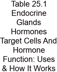 Table 25.1 Endocrine Glands Hormones Target Cells And Hormone Function: Uses & How It Works