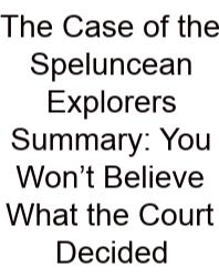 The Case Of The Speluncean Explorers Summary: You Won’t Believe What The Court Decided