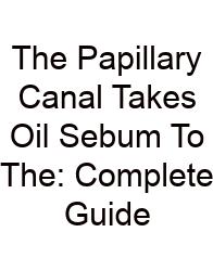 The Papillary Canal Takes Oil Sebum To The: Complete Guide