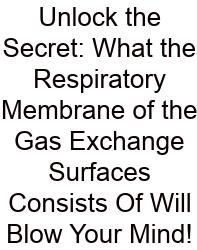 Unlock The Secret: What The Respiratory Membrane Of The Gas Exchange Surfaces Consists Of Will Blow Your Mind!