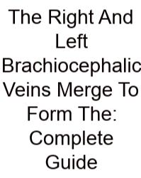 The Right And Left Brachiocephalic Veins Merge To Form The: Complete Guide