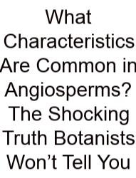 What Characteristics Are Common In Angiosperms? The Shocking Truth Botanists Won’t Tell You