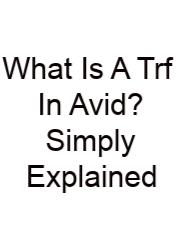 What Is A Trf In Avid? Simply Explained