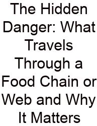 The Hidden Danger: What Travels Through A Food Chain Or Web And Why It Matters