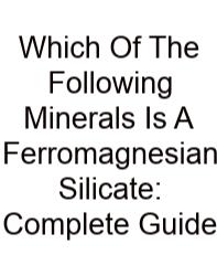 Which Of The Following Minerals Is A Ferromagnesian Silicate: Complete Guide