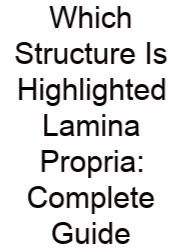 Which Structure Is Highlighted Lamina Propria: Complete Guide